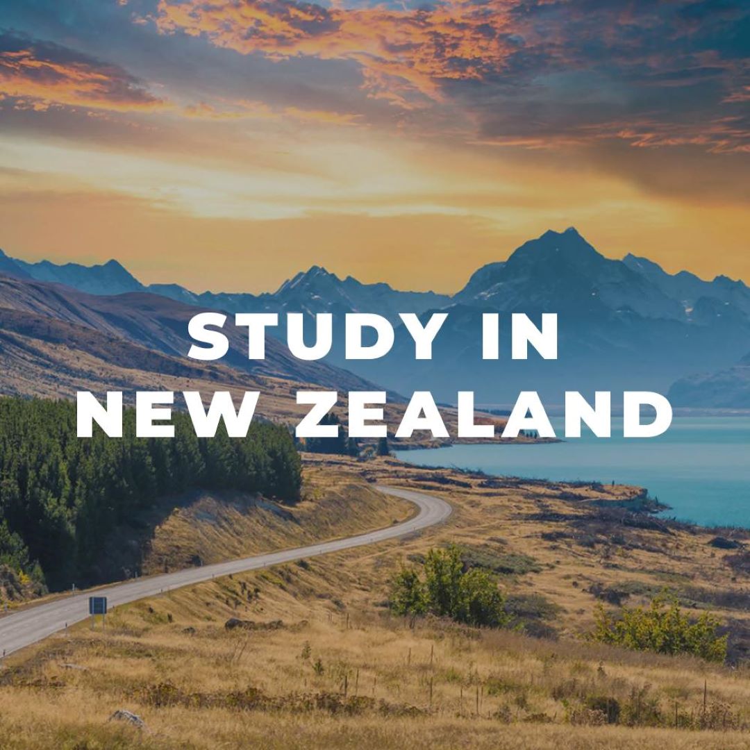 Top Universities in New Zealand: Exploring Academic Excellence